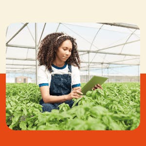 Impacto digital sostenible: ecosistemas de startups AgriTech - Online CE Course