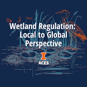 Wetland Regulation: Local to Global Perspective - Online CE Course