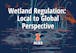 Wetland Regulation: Local to Global Perspective