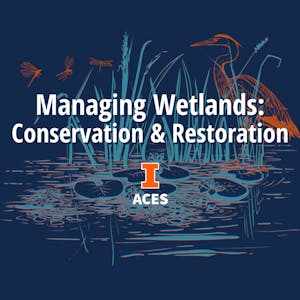 Managing Wetlands: Conservation & Restoration from University of Illinois Urbana-Champaign online course platform