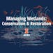Managing Wetlands: Conservation & Restoration