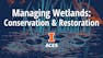 Managing Wetlands: Conservation & Restoration
