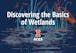 Discovering the Basics of Wetlands