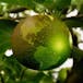 Einführung in Lebensmittel und unsere Umwelt