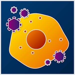 What Do Viruses Do And How Do We Control Them - Online CE Course