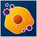 What Do Viruses Do And How Do We Control Them