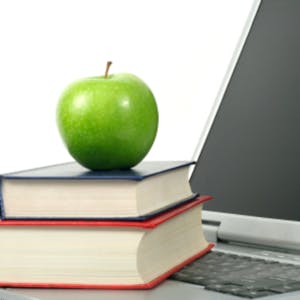 Image for the Virtual Teacher Final Project online course