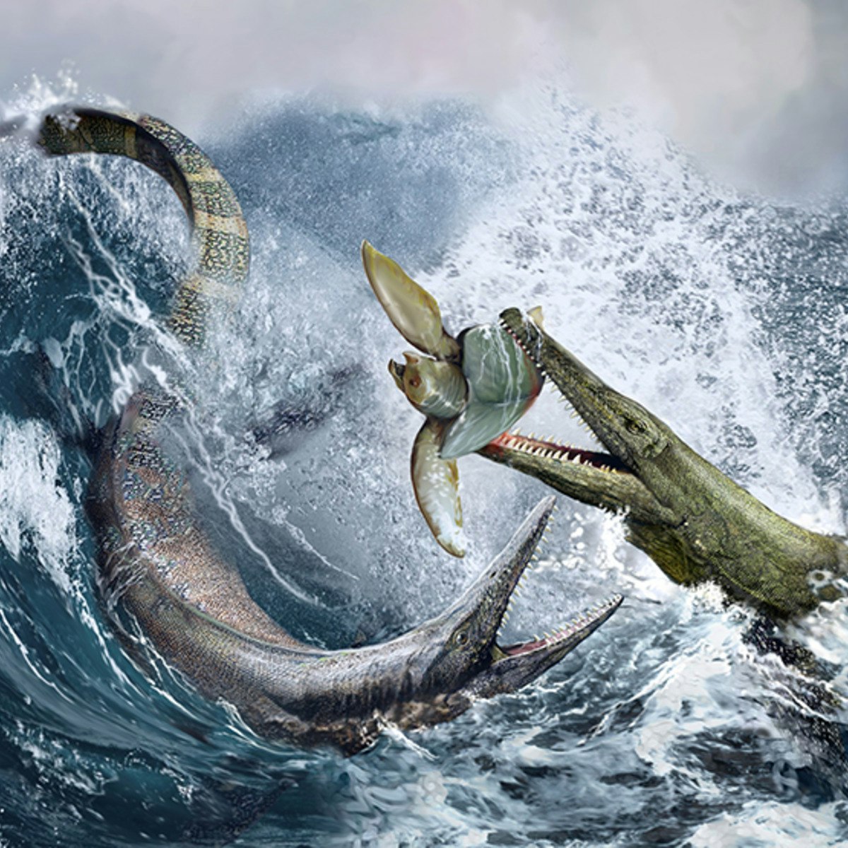 Paleontology Ancient Marine Reptiles Coursera