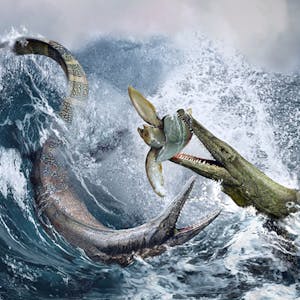 Paleontology Ancient Marine Reptiles