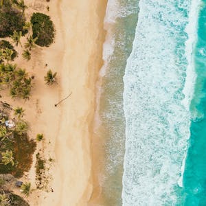 Bending the Curve: Climate Change Solutions 1 - Online CE Course