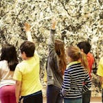 艺术和探究：博物馆课堂教学方法