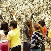 Art & Inquiry: Museum Teaching Strategies For Your Classroom