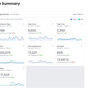 Measure a Marketing Strategy using Facebook Insights - Online CE Course