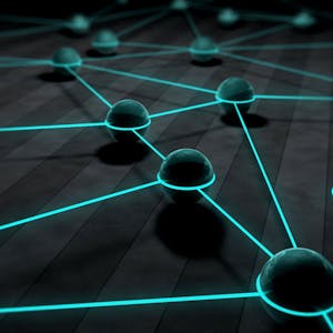 Trees and Graphs Basics