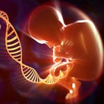 Os Genes e a Condição Humana ( Desde o Comportamento à Biotecnologia)