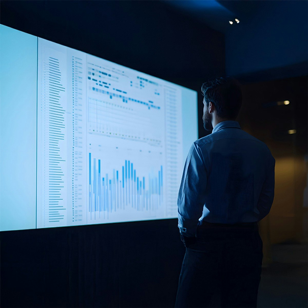 Model and Analyze Project Finance Viability