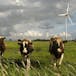Energy and Environment