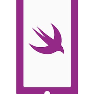 Build Your Own iOS App - Online CE Course