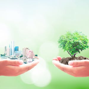 Environmental Health the Foundation of Global Public Health