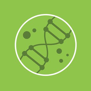 Algae Biotechnology