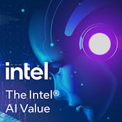 The Intel® AI Value