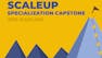 Scale Up Specialization Capstone
