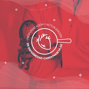 Profundización y actualización en Enfermedad Cardiovascular - Online CE Course