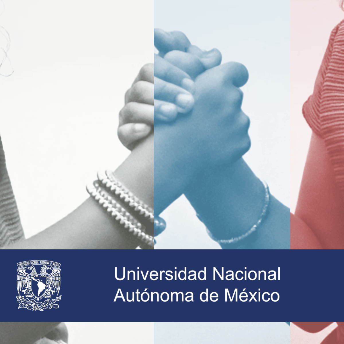 Negociar con sentido:  ¿Competir, colaborar o ceder?