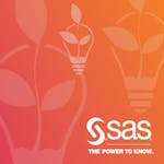 Doing More with SAS Programming