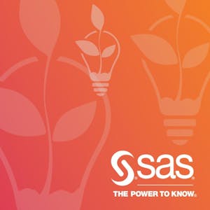 Doing More with SAS Programming