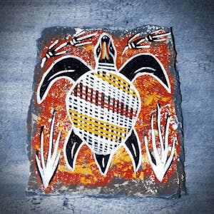 Cultures et pédagogies from University of Geneva online course platform