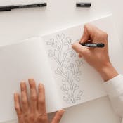 Watch Me Design a Pattern Collection: Creative Struggles