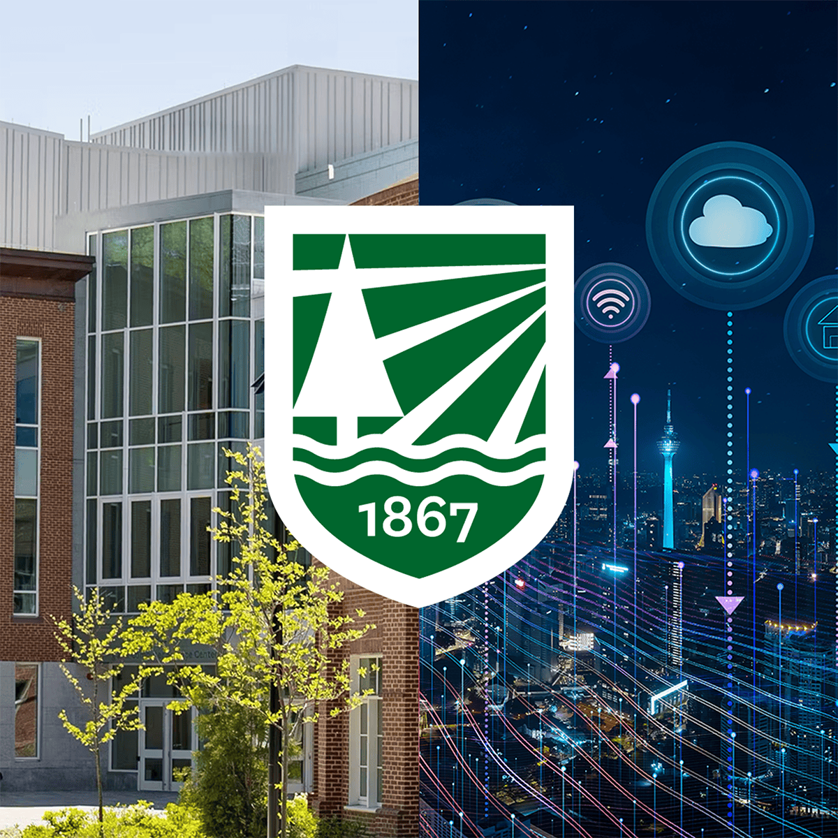 Organizing for Digital Transformation