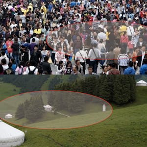 人群与网络 - Online CE Course