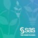 Doing More with SAS Programming