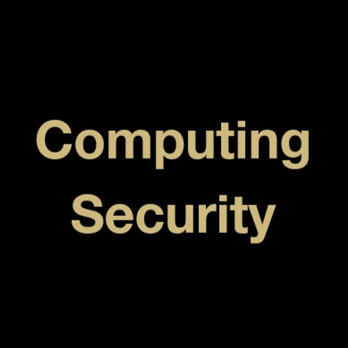 Basic Ideas in Computing Security