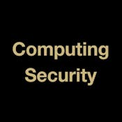 Basic Ideas in Computing Security