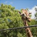 Tiere und Institutionen