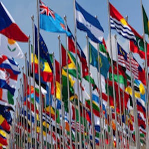 The Changing Global Order