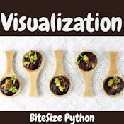BiteSize Python: Data Visualization