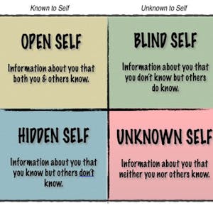 Leverage a Johari Window to Develop Strong Teams in Miro