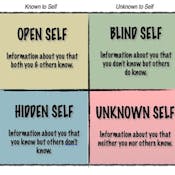 Leverage a Johari Window to Develop Strong Teams in Miro