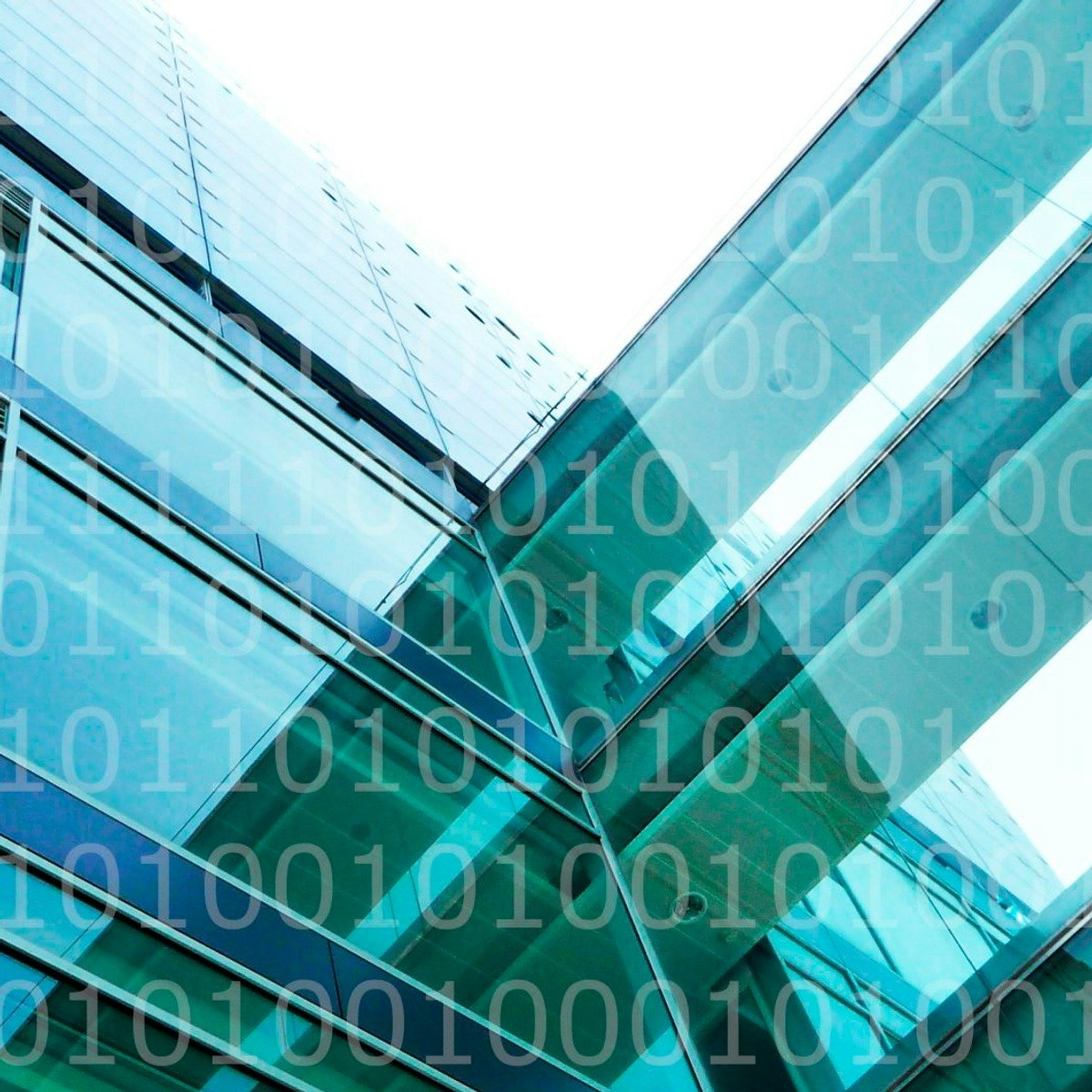 IT Fundamentals for Business Profiles: Cybersecurity