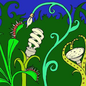 Creativity, Innovation and Transformation