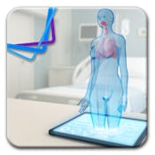 Breath of Life: Exploring the Respiratory System