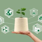 Sustainable Textile Manufacturing
