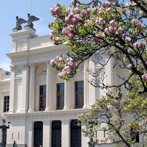 Writing in English at University from Lund University online course platform