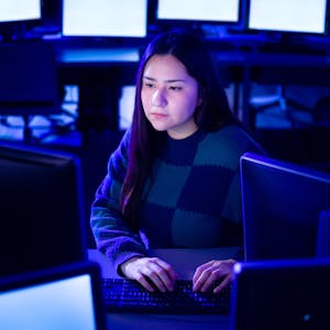 Project Management for Information Technology and Management from Illinois Tech online course platform