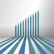Leading the Way: Becoming a Sustainability Change Agent