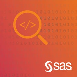 Advanced SAS Programming Techniques